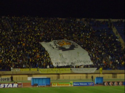 tifo fatal tigers